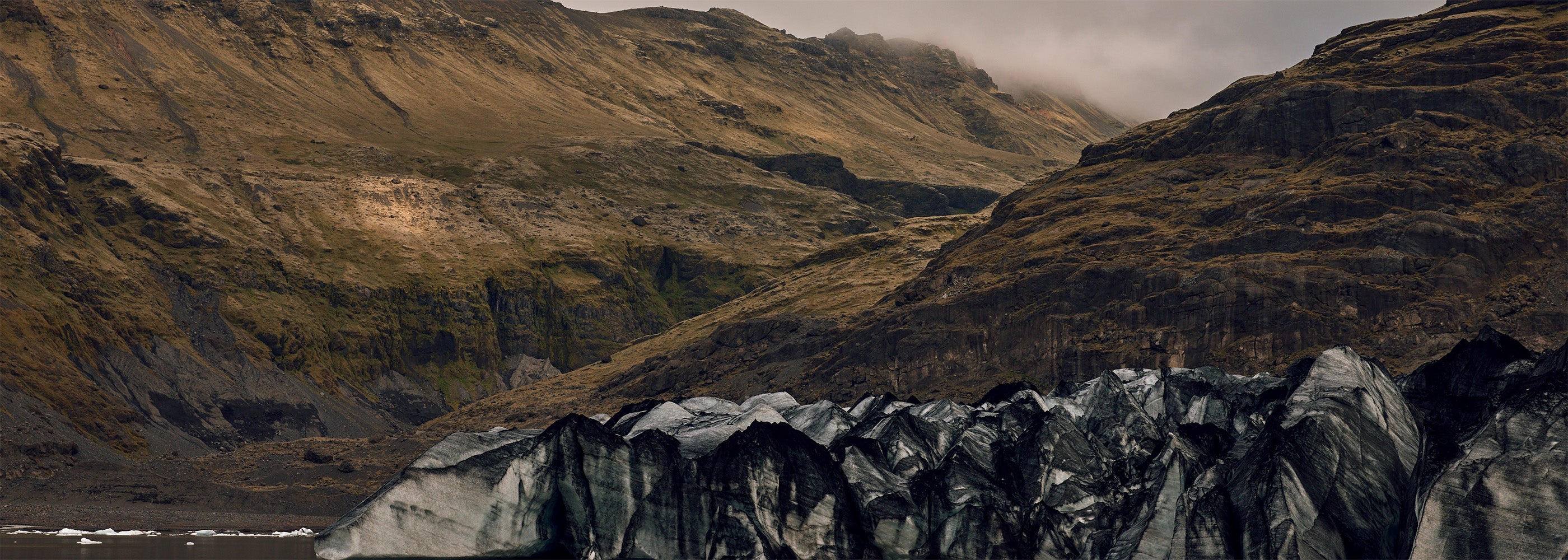 Ernest | Nouveautés | New Arrivals