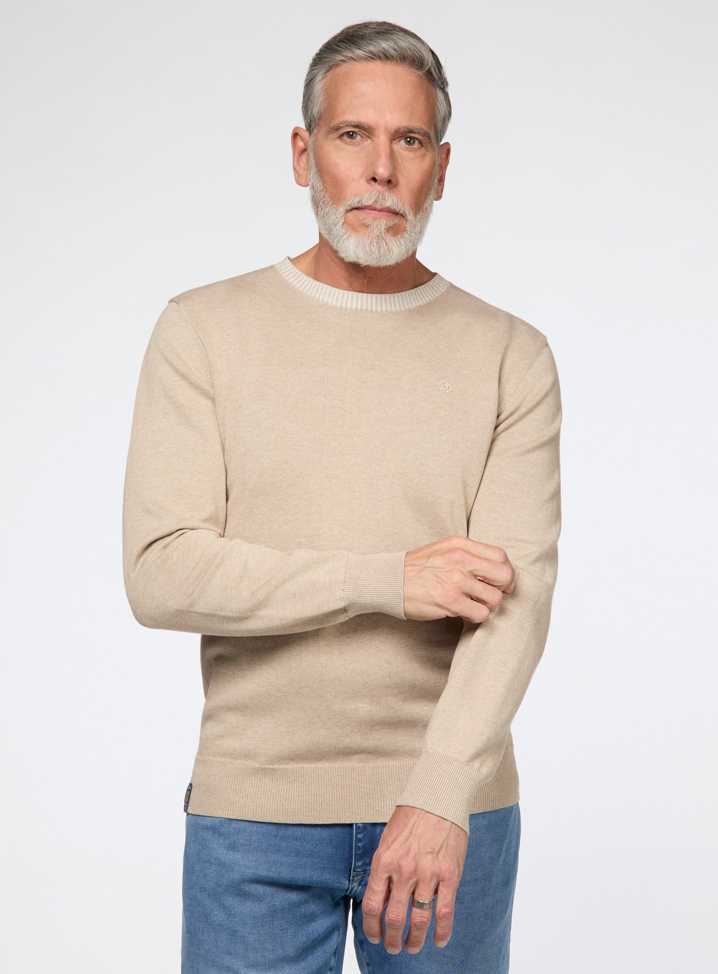 Solid Crew Neck Sweater for men - Fellows United